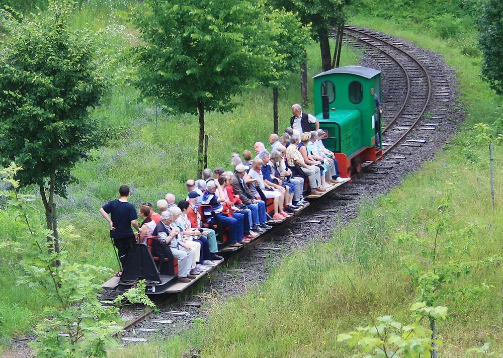 Feldbahn Guldental 8zwi99