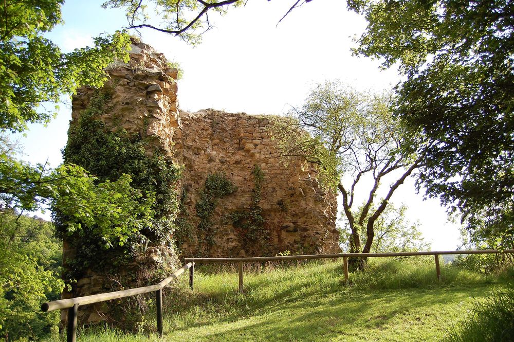 Burgsponheimer Grafenrunde 9a49gi