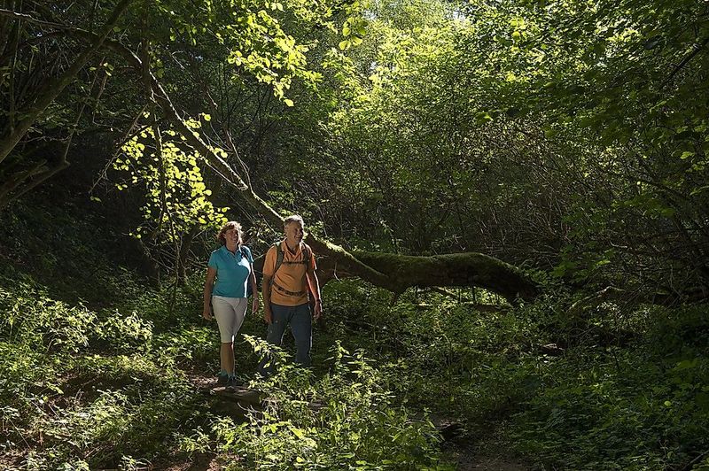Traumschleife Oppig Grät Weg 9aa9d8
