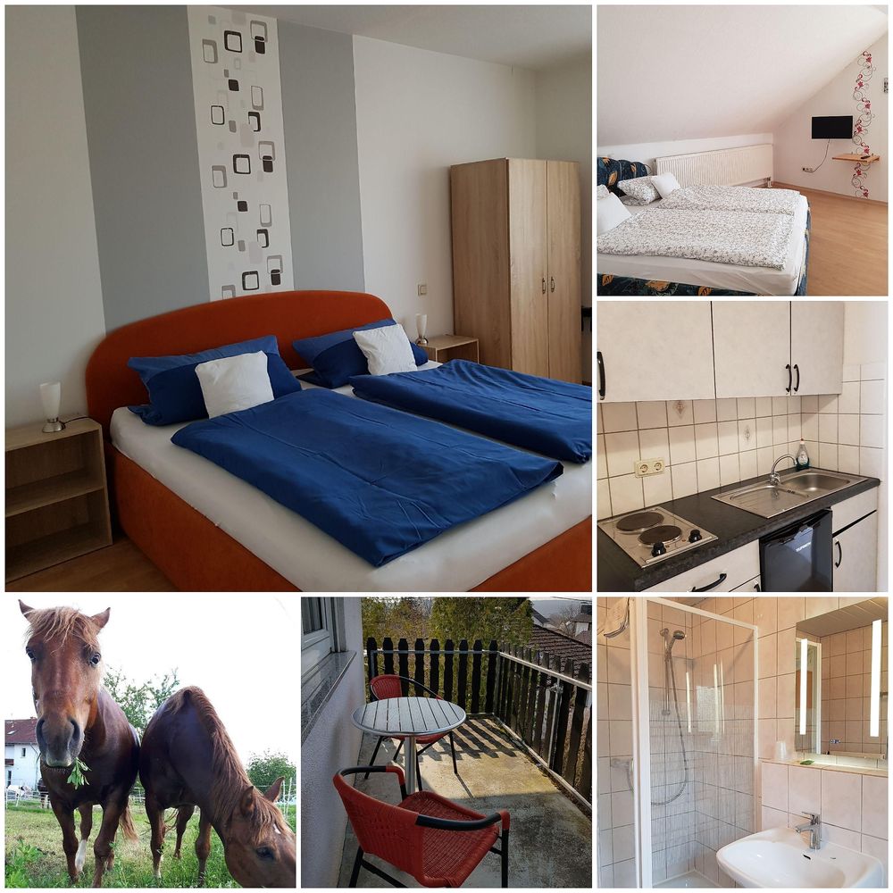 Weingut und Ferienappartement Erbacher Hof 9adpnl