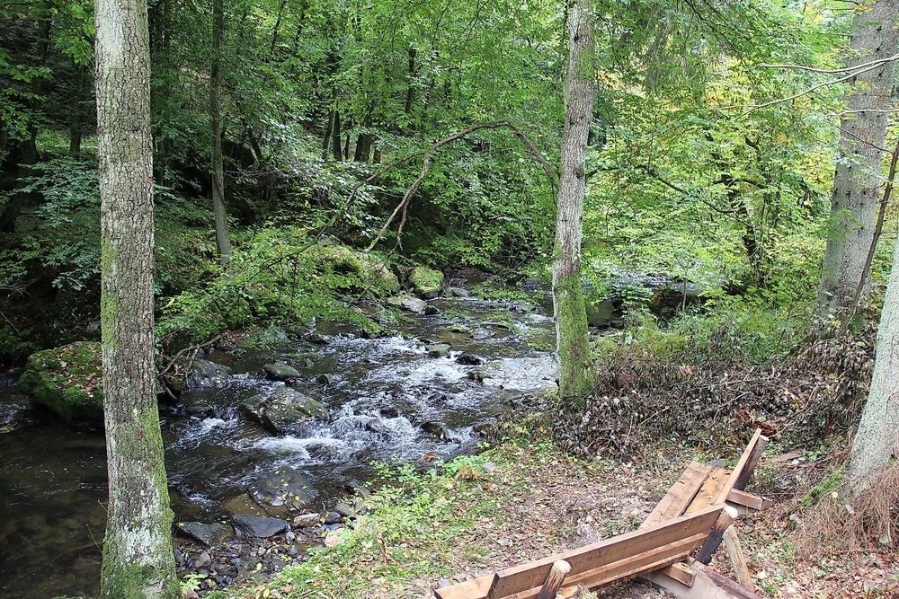 Traumschleife "Rockenburger Urwaldpfad" 9etwvj