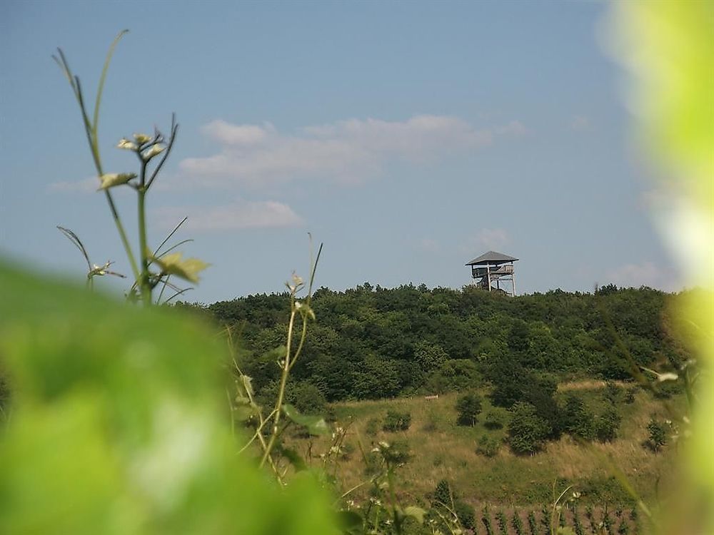 Weingut Funck Schowalter 9hdgrd