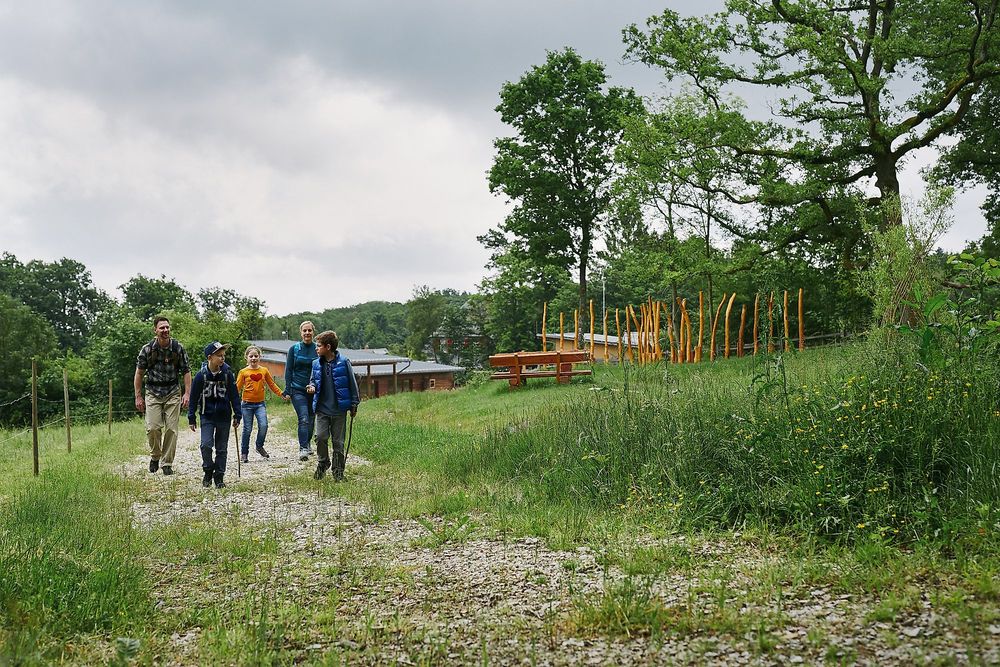 Rundweg Neupfalz 9k8f11