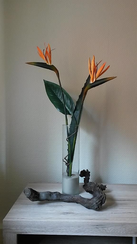 Ferienwohnung Rebstockhaisje 9mdyda
