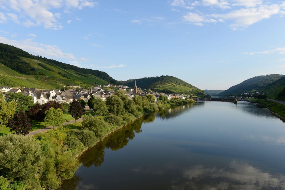 Weinkultur Radrundfahrt über Neef und Reil 9s6cj3