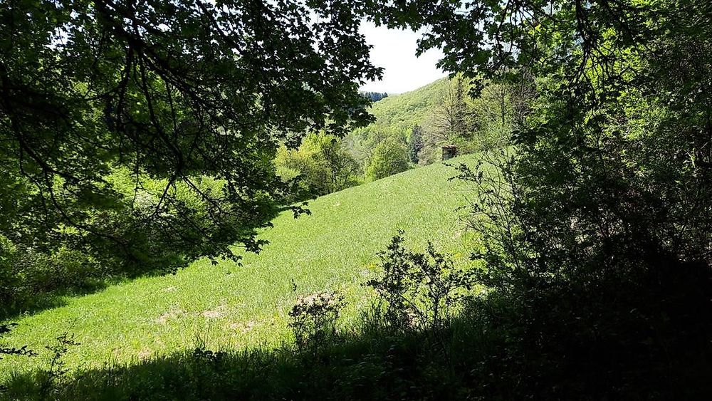 Vitaltour   Mit Krebs un Karer unerwäschs 9t37df