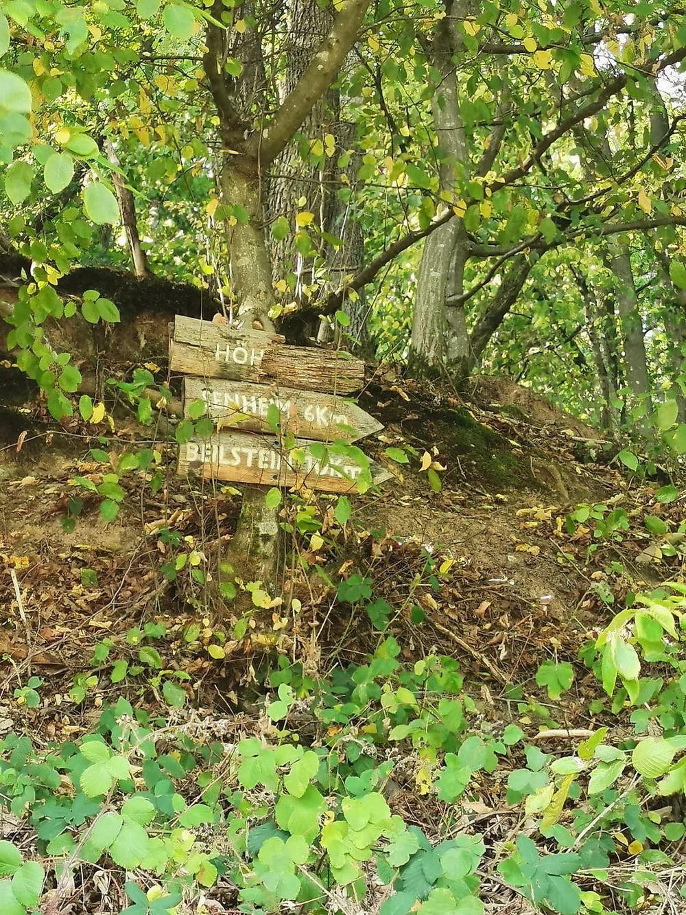 Pissamann Rundwanderweg Zell Merl 9ukv6q