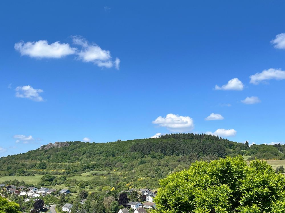 Ausblick am Mammutbaum 9ut8os