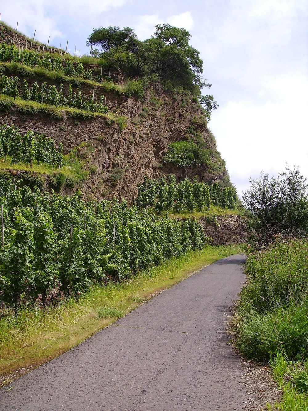 Deutsches Eck Tour 9we035