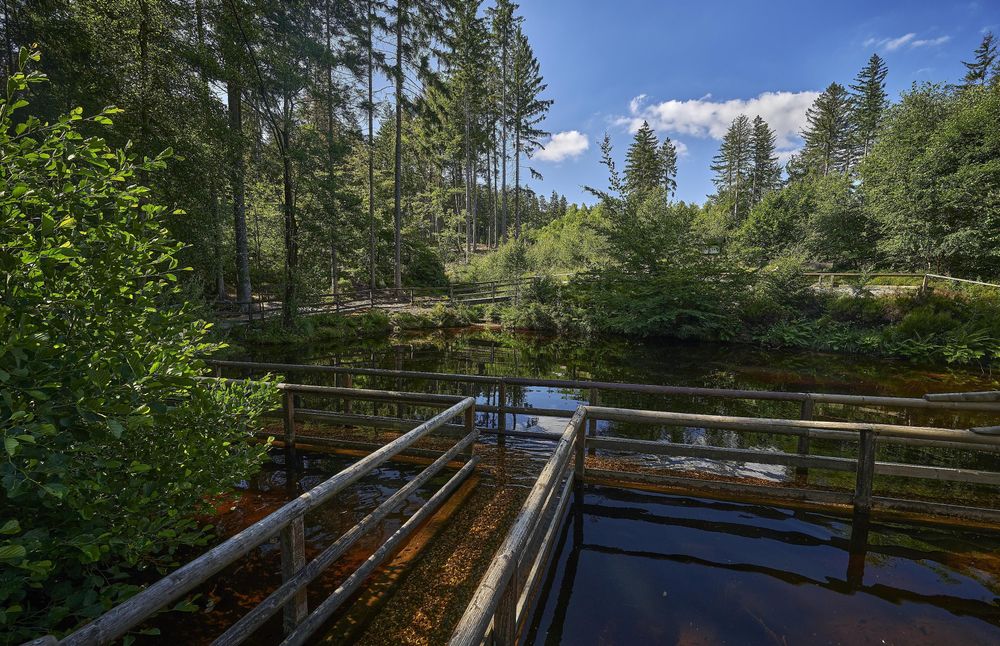 Nixenweiher 9xjneg