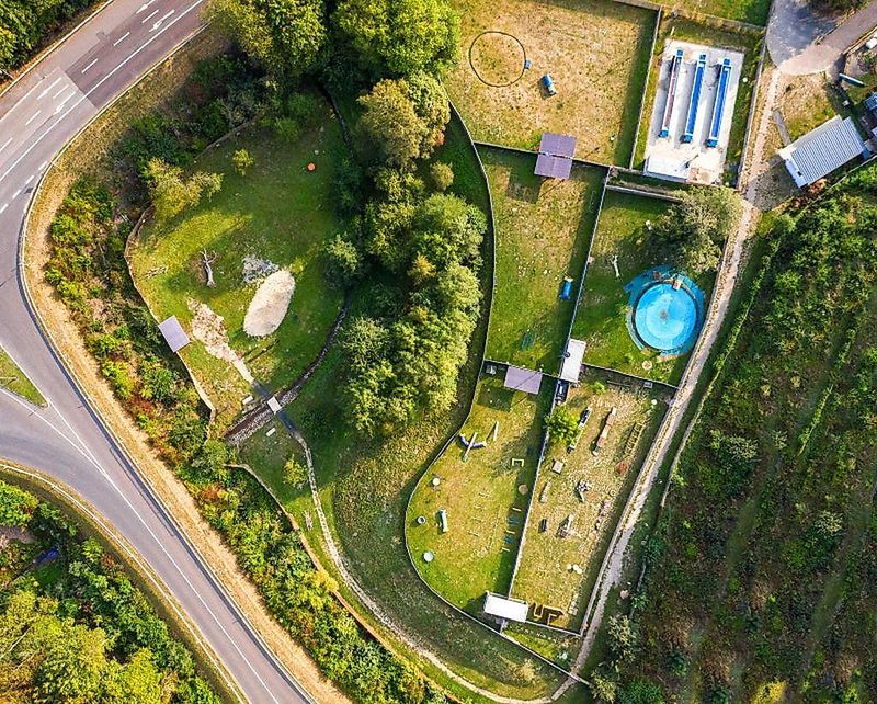 pois/caniplace-hundefreizeit-und-gesundheitspark-d6ca