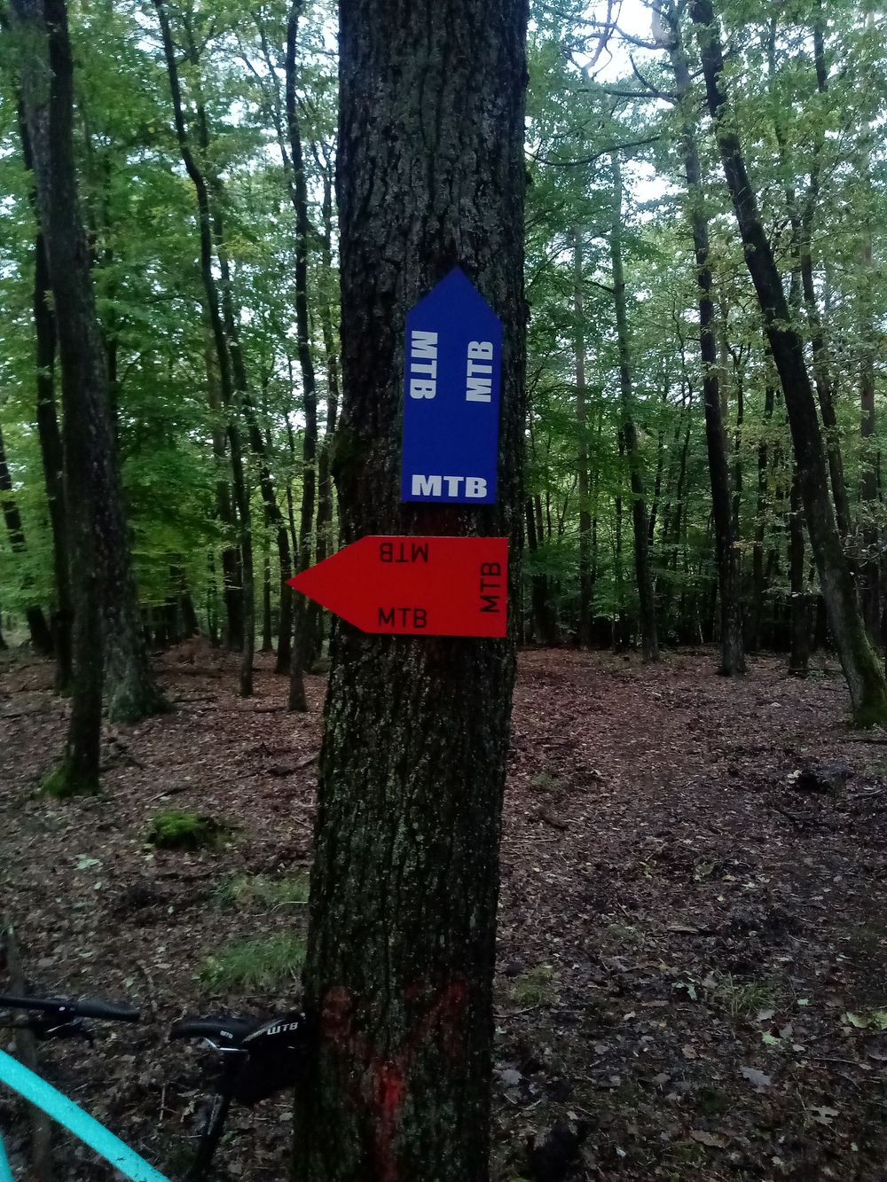 RadLust MTB Trail WaldMeister 9yj0xo