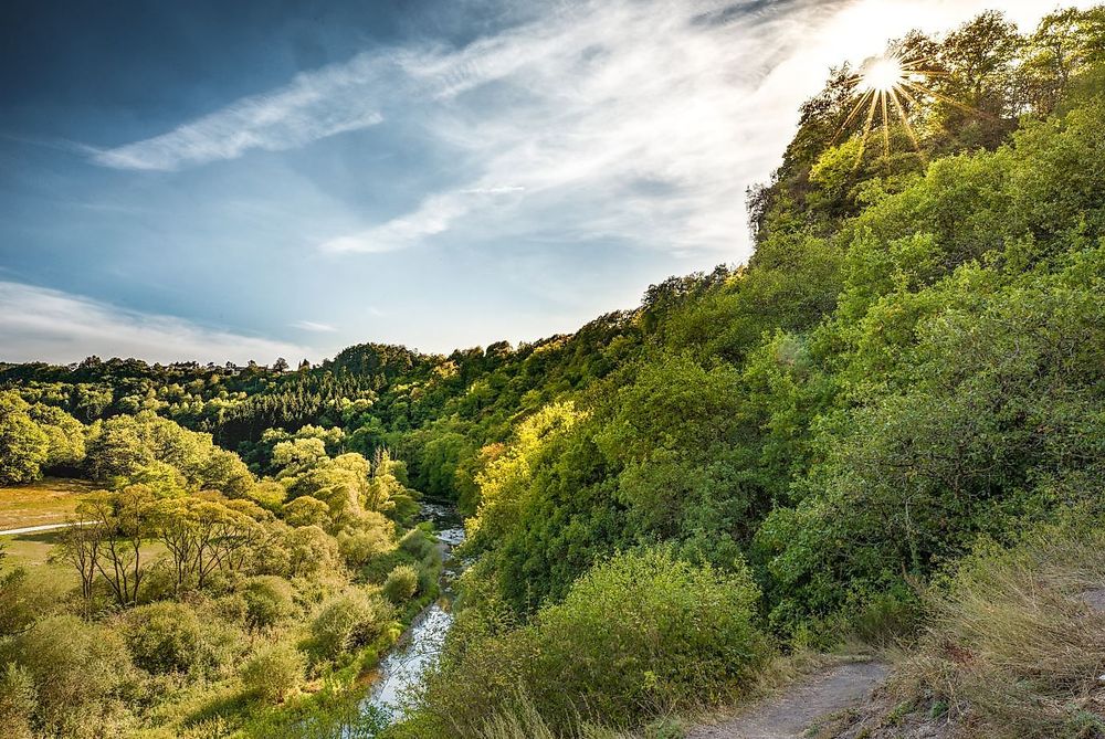 Nahesteig   Streckenwanderweg entlang der Oberen Nahe 9zkqxf