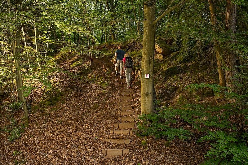 Traumschleife Steinhauerweg 1vwoe