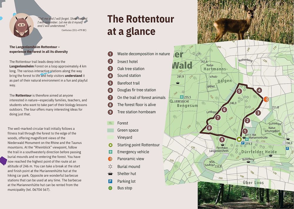Rottentour im Langenlonsheimer Wald   OFFIZIELLE WEGBESCHREIBUNG! 2n3s8
