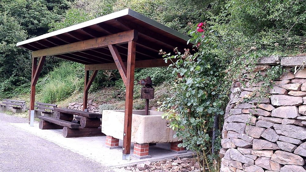 Rundtour Niederhäuser Weinwanderweg 52j8f
