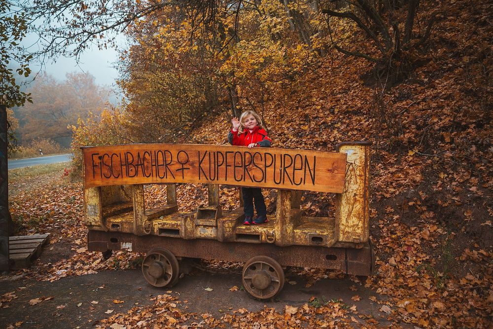 Traumschleifchen Fischbacher Kupferspuren 705j1