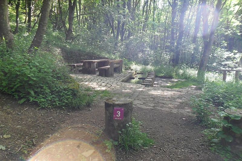 Traumschleife Hirn Gallenberg Tour 6g476