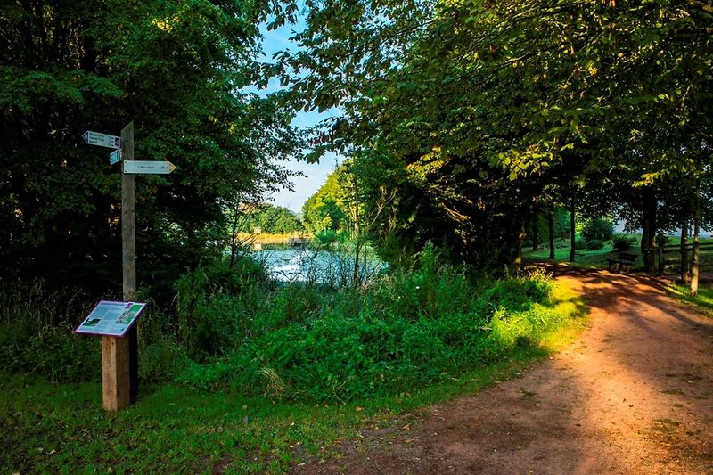 pois/naturlehrpfad-dorfpark-in-waldweiler-f4e8