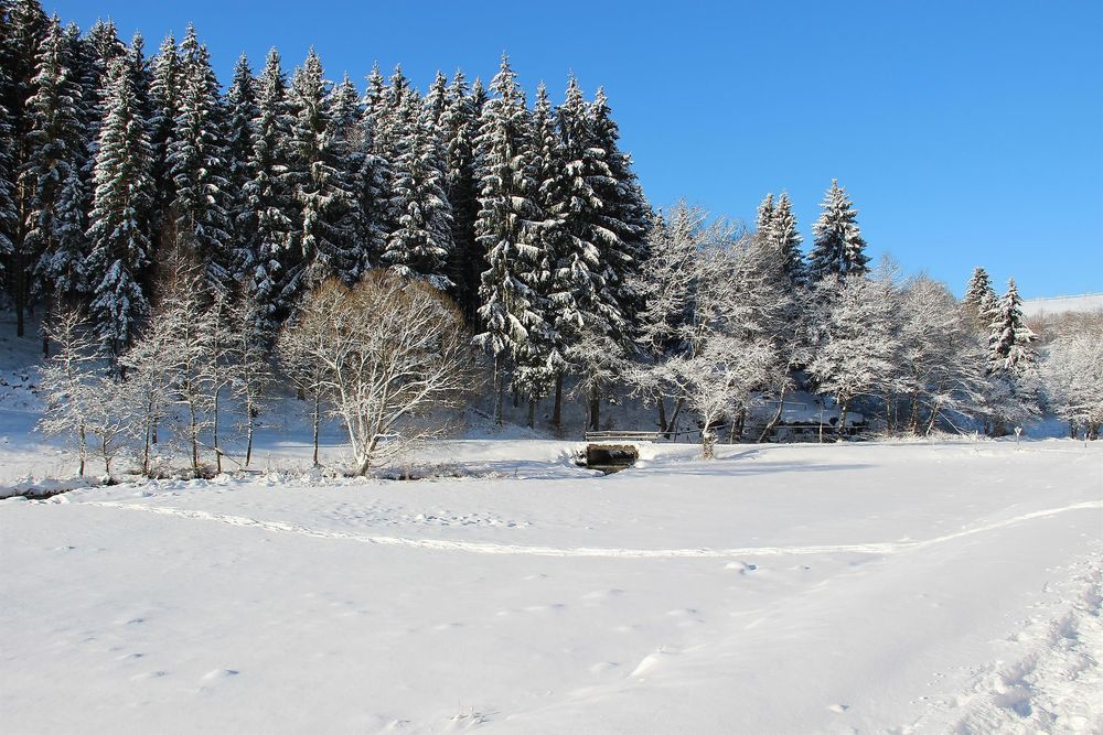 Schneeschuhwanderungen 6wr5r